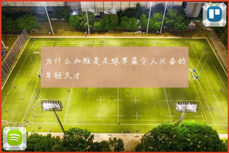 为什么加维是足球界最令人兴奋的年轻天才